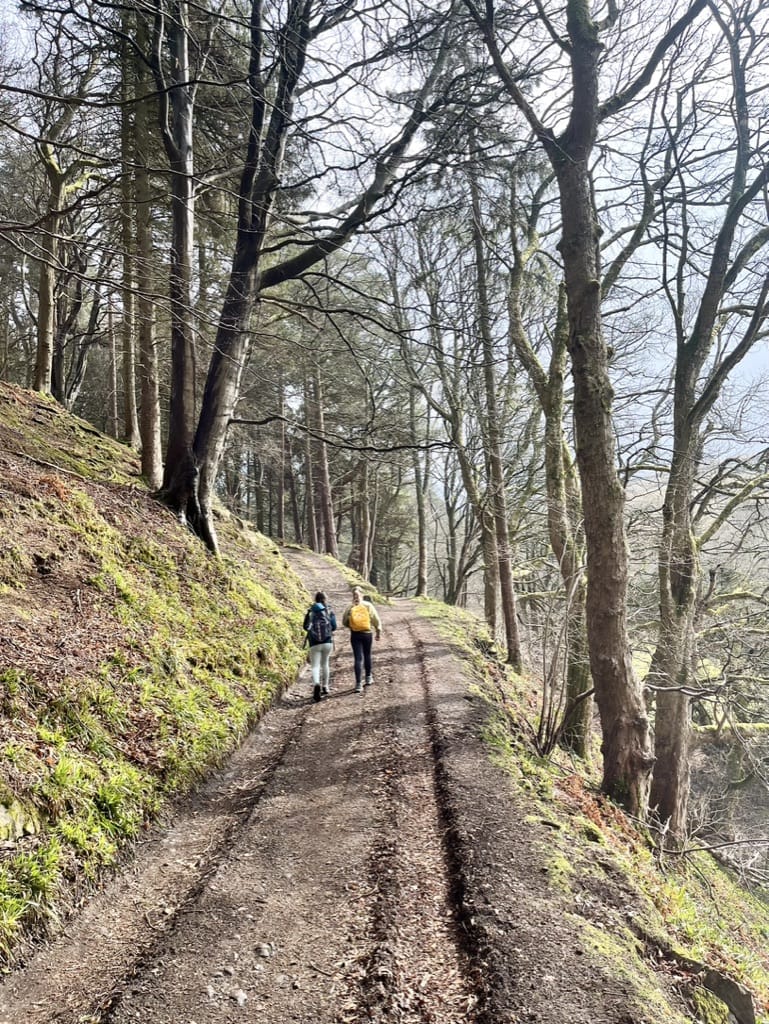 Outdoor Education & Wellbeing programme 3